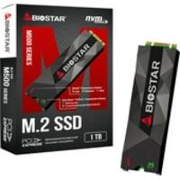 BIOSTAR M500 1TB M500-1TB